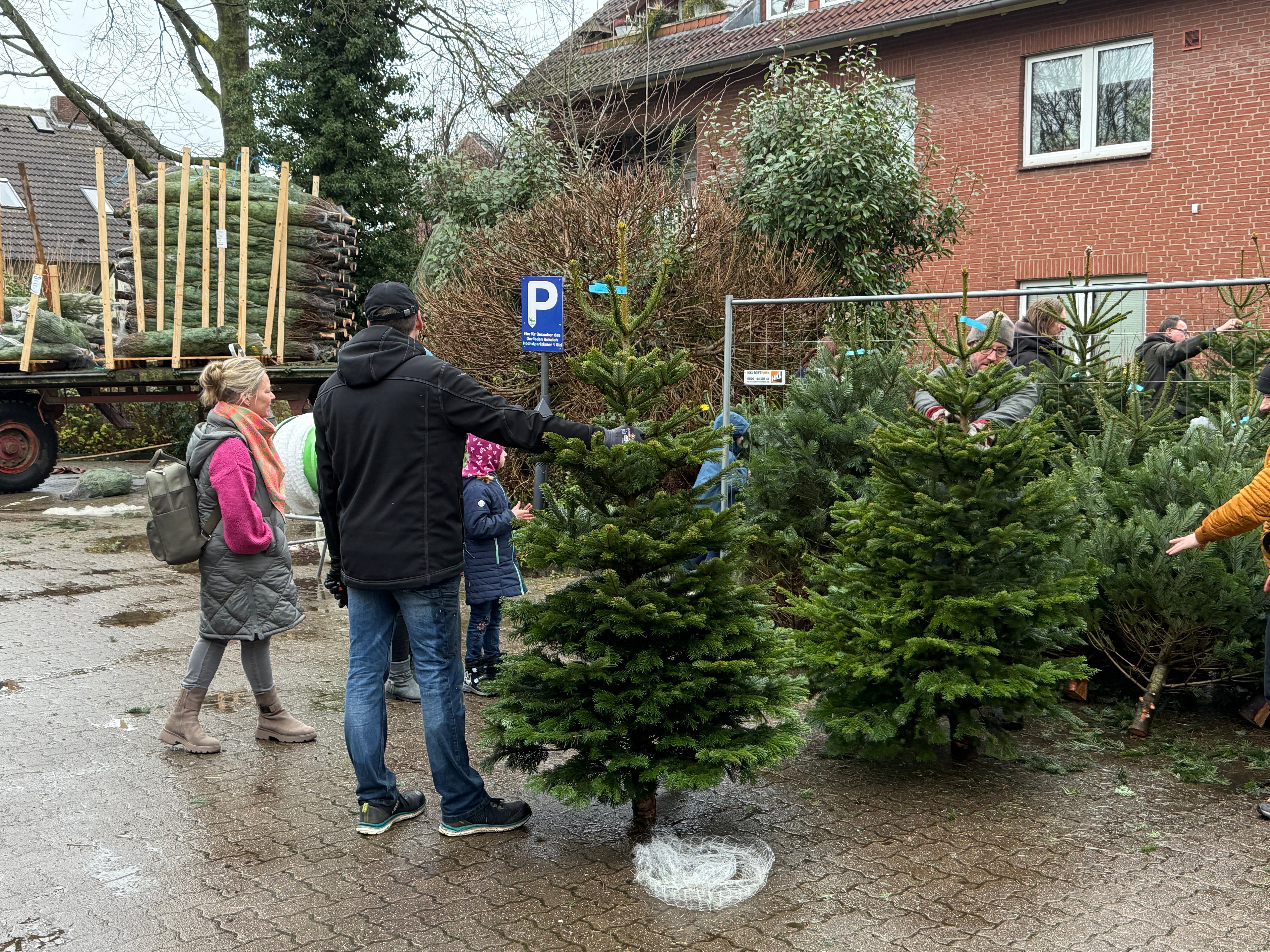 Weihnachtsbaumverkauf 2024 – ein schöner Erfolg