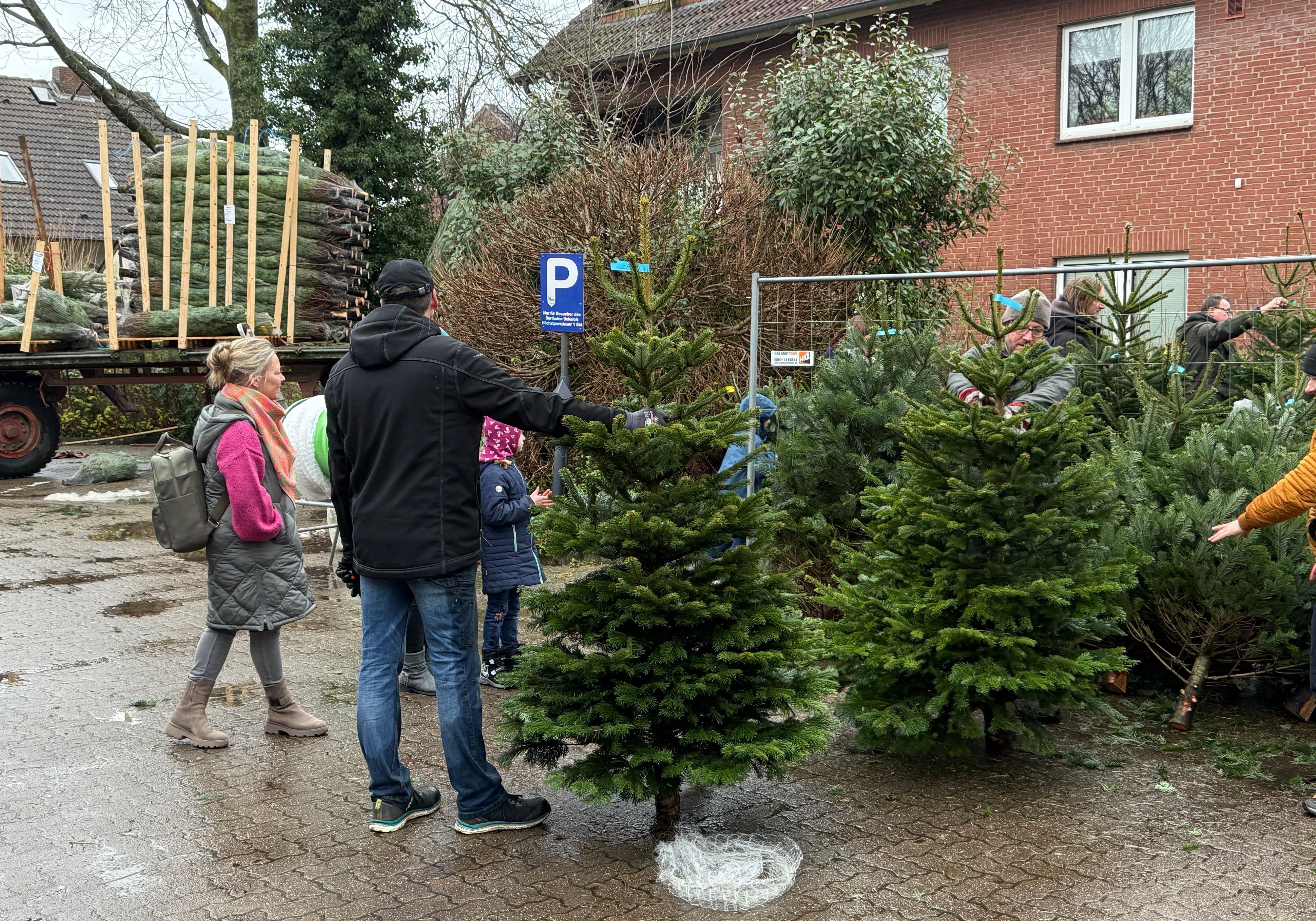 Weihnachtsbaumverkauf 2024